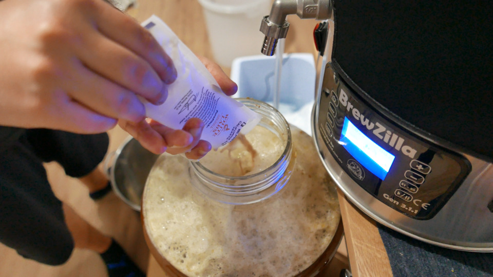 Pitching the yeast