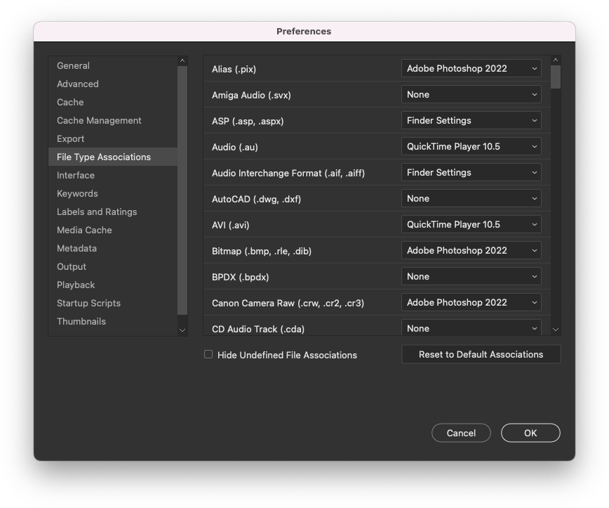 Bridge filetype associations